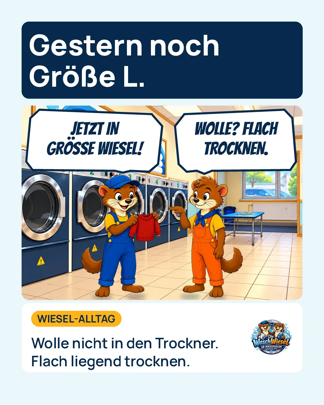 Comic: Fiete hält einen eingelaufenen roten Pulli hoch, Oskar zeigt darauf.